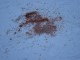 Thumbs/tn_Dsc03419.jpg