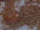 Thumbs/tn_Dsc03422.jpg