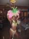 Thumbs/tn_Img_0450.jpg