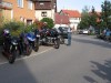 Thumbs/tn_Img_1239.jpg