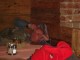 Thumbs/tn_Dsc03041.jpg