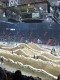 Thumbs/tn_Img_0923.jpg
