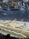 Thumbs/tn_Img_0924.jpg