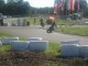 Thumbs/tn_Img_0843.jpg
