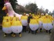 Thumbs/tn_IMG_4468.jpg