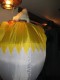 Thumbs/tn_IMG_4496.jpg