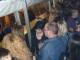 Thumbs/tn_IMG_4598_0032.jpg