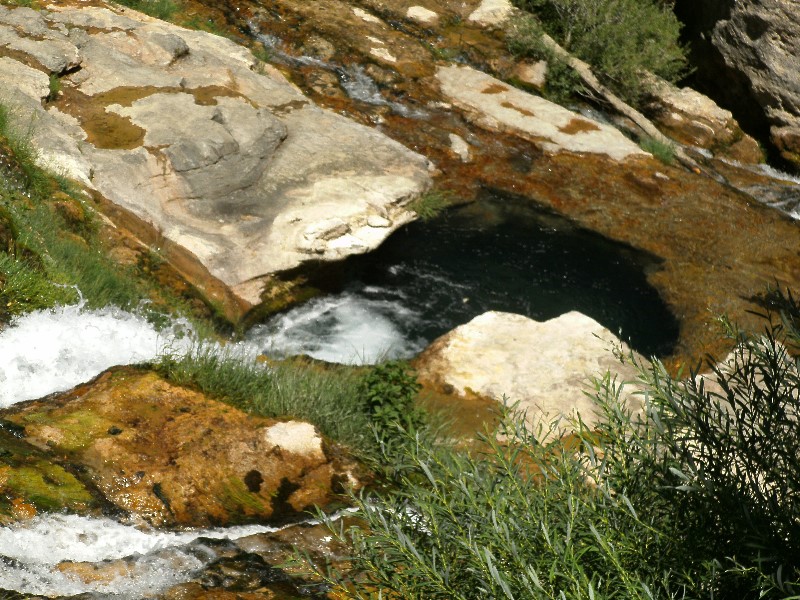 ../Images/PICT0151_.jpg