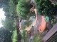 Thumbs/tn_20150815191411.jpg