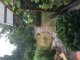 Thumbs/tn_20150815191416.jpg