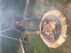 Thumbs/tn_20150815194307.jpg