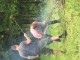 Thumbs/tn_20170525142037.jpg