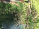 Thumbs/tn_20170525142047.jpg