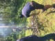 Thumbs/tn_20170525143751.jpg