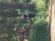 Thumbs/tn_20170525143821.jpg