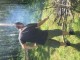 Thumbs/tn_20170525143828.jpg