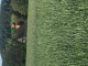 Thumbs/tn_20170525174502.jpg