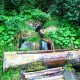 Thumbs/tn_IMG_3944.jpg