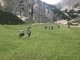 Thumbs/tn_IMG_8957.jpg