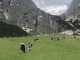 Thumbs/tn_IMG_8958.jpg