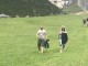 Thumbs/tn_IMG_8959.jpg