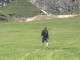 Thumbs/tn_IMG_8962.jpg