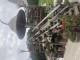 Thumbs/tn_IMG_8968.jpg