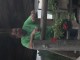 Thumbs/tn_IMG_8972.jpg