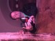 Thumbs/tn_IMG_8977.jpg