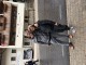 Thumbs/tn_IMG_8984.jpg